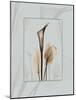 Calla Blue Brown 2-Albert Koetsier-Mounted Art Print