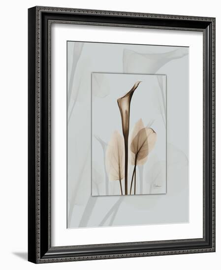 Calla Blue Brown 2-Albert Koetsier-Framed Art Print