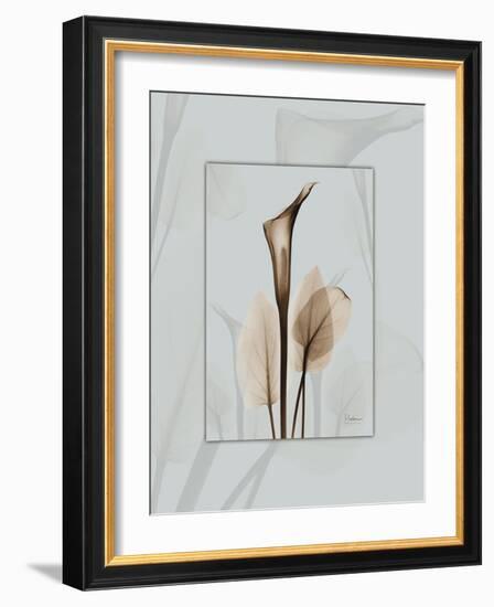 Calla Blue Brown 2-Albert Koetsier-Framed Art Print