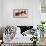 Calla Composition-Serena Biffi-Framed Art Print displayed on a wall