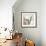 Calla Faith-Albert Koetsier-Framed Premium Giclee Print displayed on a wall