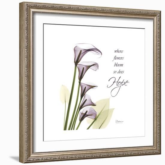 Calla Hope-Albert Koetsier-Framed Premium Giclee Print