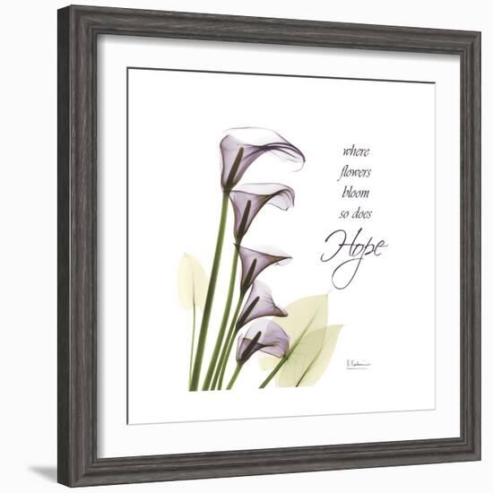 Calla Hope-Albert Koetsier-Framed Premium Giclee Print