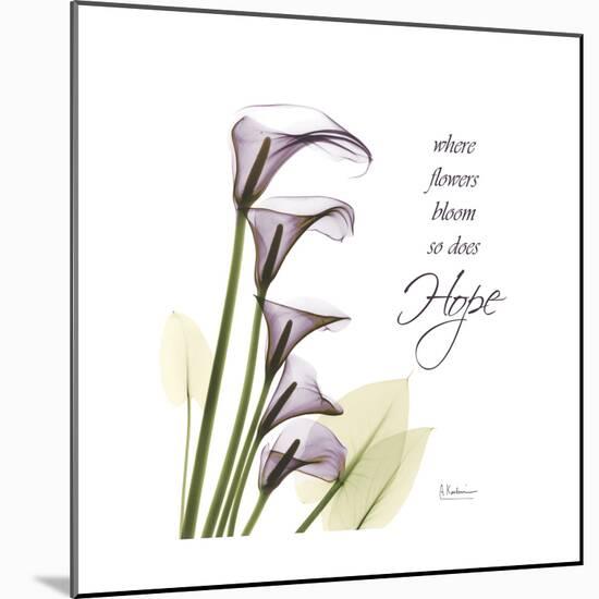 Calla Hope-Albert Koetsier-Mounted Premium Giclee Print