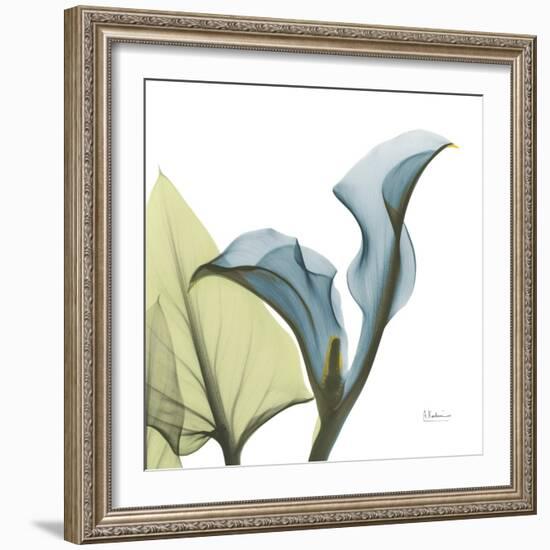 Calla L235-Albert Koetsier-Framed Photographic Print