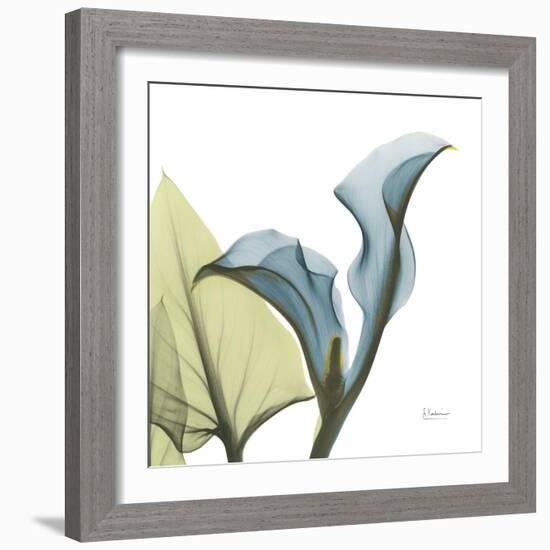 Calla L235-Albert Koetsier-Framed Photographic Print