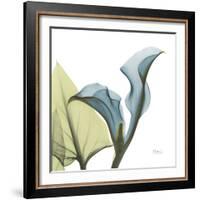 Calla L235-Albert Koetsier-Framed Photographic Print