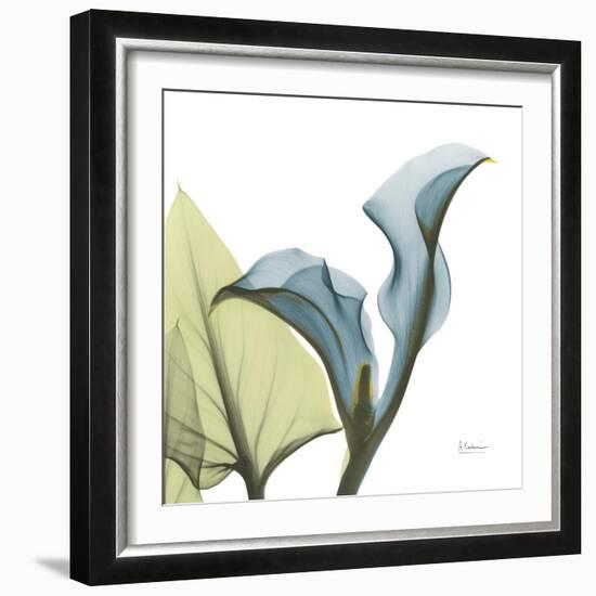 Calla L235-Albert Koetsier-Framed Photographic Print