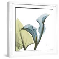 Calla L235-Albert Koetsier-Framed Photographic Print