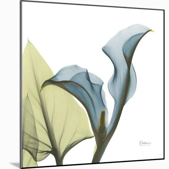 Calla L235-Albert Koetsier-Mounted Photographic Print