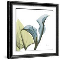 Calla L235-Albert Koetsier-Framed Photographic Print