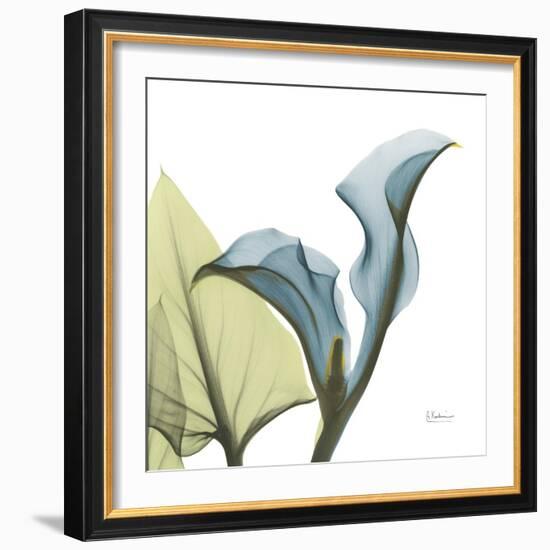 Calla L235-Albert Koetsier-Framed Photographic Print