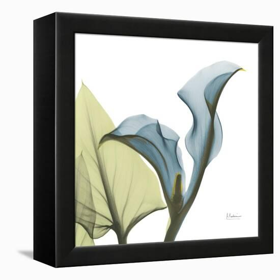 Calla L235-Albert Koetsier-Framed Stretched Canvas