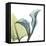 Calla L235-Albert Koetsier-Framed Stretched Canvas