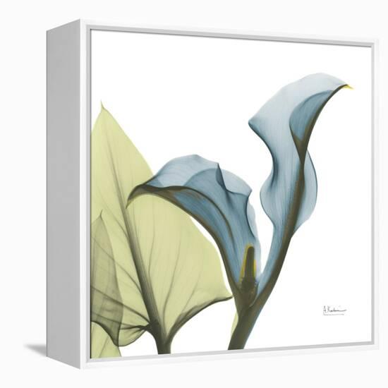 Calla L235-Albert Koetsier-Framed Stretched Canvas