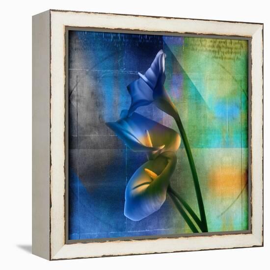 Calla Lilies and Colorful Patterns-Colin Anderson-Framed Premier Image Canvas