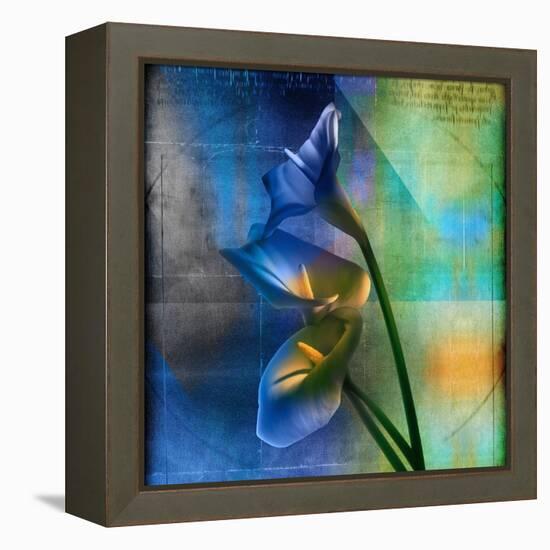 Calla Lilies and Colorful Patterns-Colin Anderson-Framed Premier Image Canvas