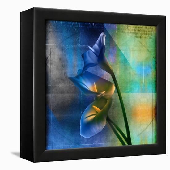 Calla Lilies and Colorful Patterns-Colin Anderson-Framed Premier Image Canvas