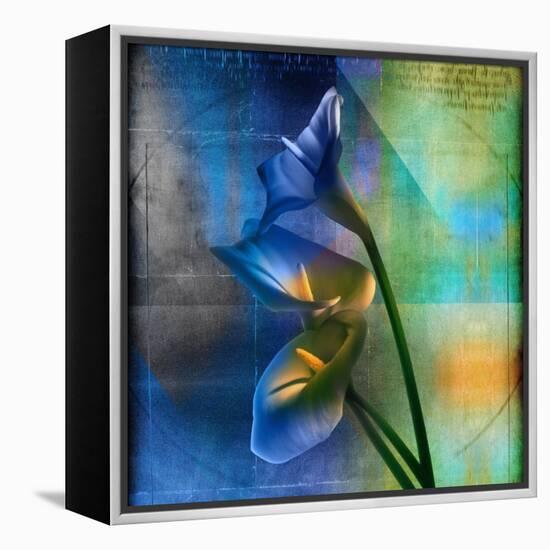 Calla Lilies and Colorful Patterns-Colin Anderson-Framed Premier Image Canvas