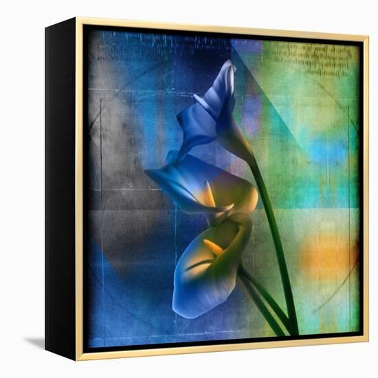 Calla Lilies and Colorful Patterns-Colin Anderson-Framed Premier Image Canvas