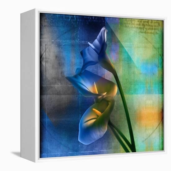 Calla Lilies and Colorful Patterns-Colin Anderson-Framed Premier Image Canvas