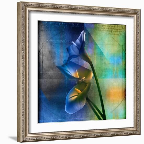 Calla Lilies and Colorful Patterns-Colin Anderson-Framed Photographic Print