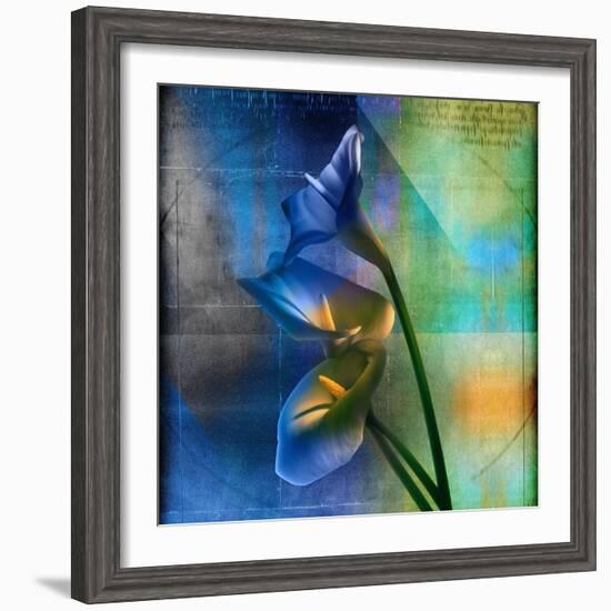 Calla Lilies and Colorful Patterns-Colin Anderson-Framed Photographic Print