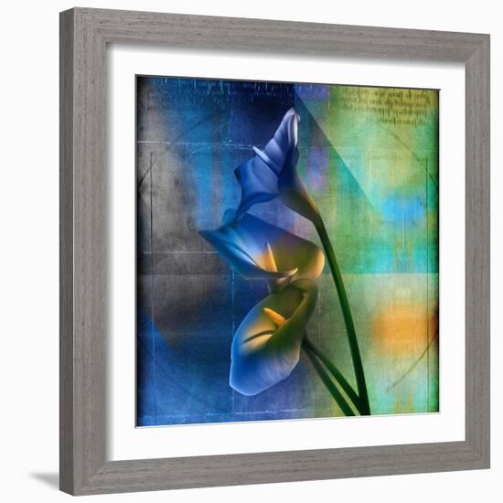Calla Lilies and Colorful Patterns-Colin Anderson-Framed Photographic Print