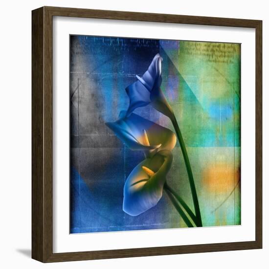 Calla Lilies and Colorful Patterns-Colin Anderson-Framed Photographic Print