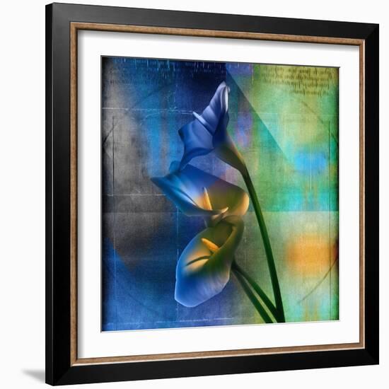 Calla Lilies and Colorful Patterns-Colin Anderson-Framed Photographic Print