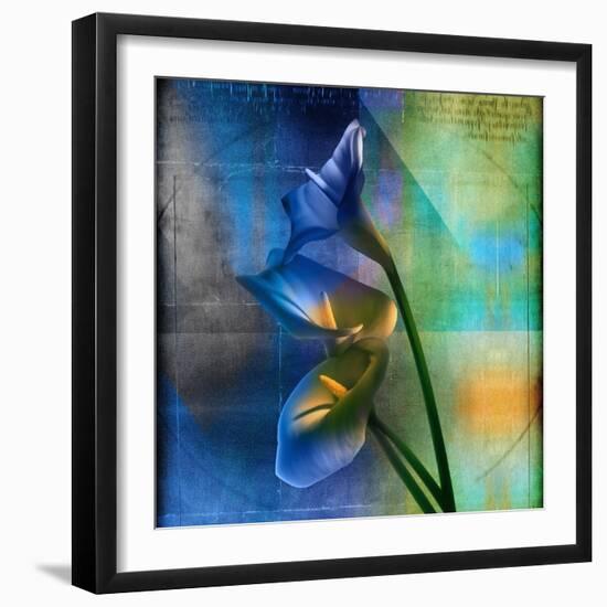 Calla Lilies and Colorful Patterns-Colin Anderson-Framed Photographic Print