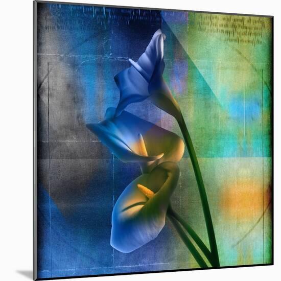 Calla Lilies and Colorful Patterns-Colin Anderson-Mounted Photographic Print