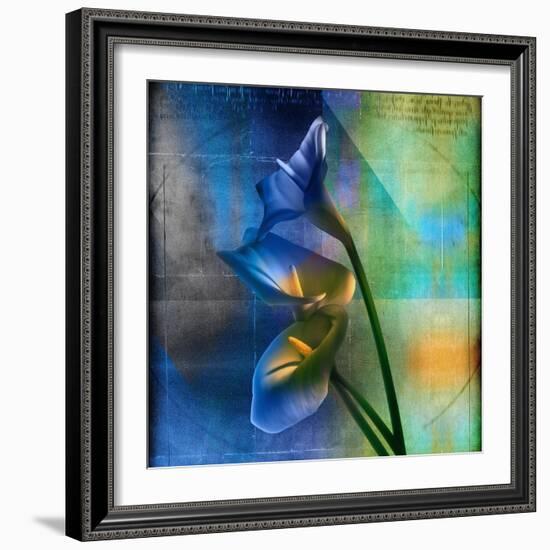Calla Lilies and Colorful Patterns-Colin Anderson-Framed Photographic Print