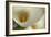 Calla Lilies II-Rita Crane-Framed Art Print