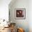 Calla Lilies II-Michael Marcon-Framed Art Print displayed on a wall