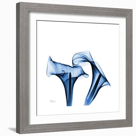 Calla Lilies Indigo-Albert Koetsier-Framed Premium Giclee Print