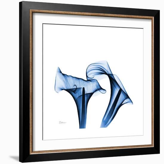 Calla Lilies Indigo-Albert Koetsier-Framed Premium Giclee Print