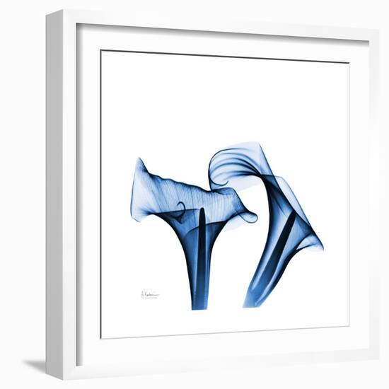 Calla Lilies Indigo-Albert Koetsier-Framed Premium Giclee Print