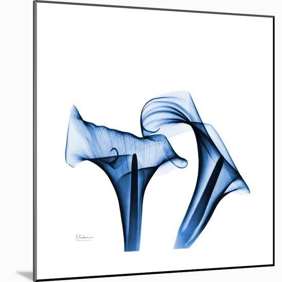 Calla Lilies Indigo-Albert Koetsier-Mounted Premium Giclee Print