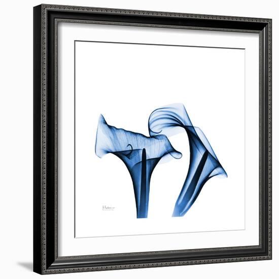 Calla Lilies Indigo-Albert Koetsier-Framed Premium Giclee Print