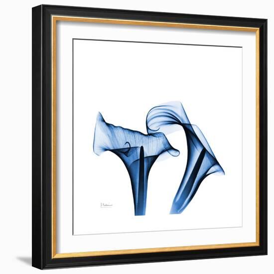 Calla Lilies Indigo-Albert Koetsier-Framed Premium Giclee Print