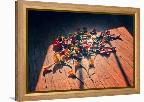 Calla Lilies on Wood Floor-null-Framed Stretched Canvas