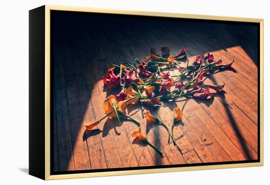 Calla Lilies on Wood Floor-null-Framed Stretched Canvas