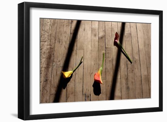 Calla Lilies on Wooden Floor-null-Framed Photo