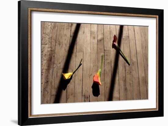 Calla Lilies on Wooden Floor-null-Framed Photo