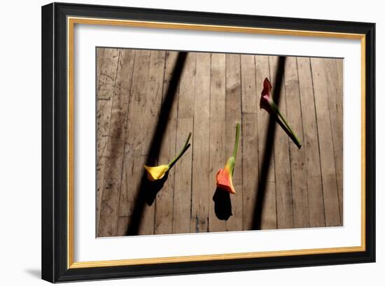 Calla Lilies on Wooden Floor-null-Framed Photo