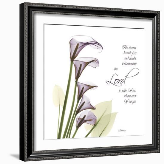 Calla Lilies Remember-Albert Koetsier-Framed Photographic Print