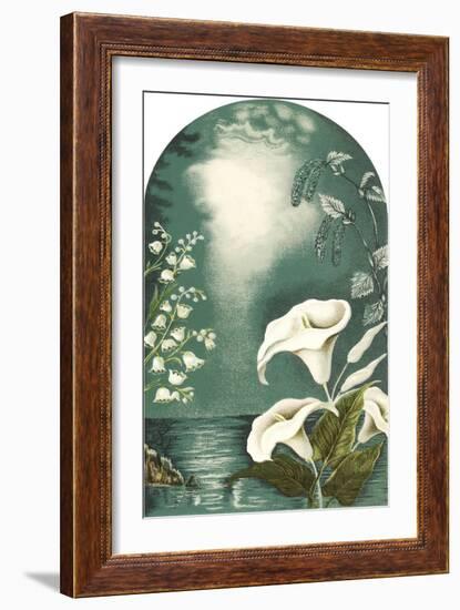 Calla Lilies, Snowbells-null-Framed Art Print