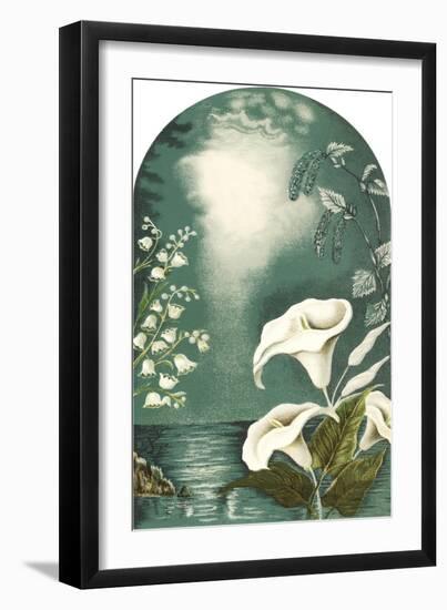 Calla Lilies, Snowbells-null-Framed Art Print