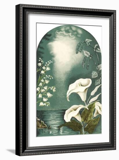 Calla Lilies, Snowbells-null-Framed Art Print